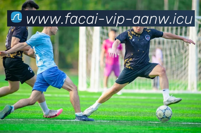 九游体育注册平台生态图